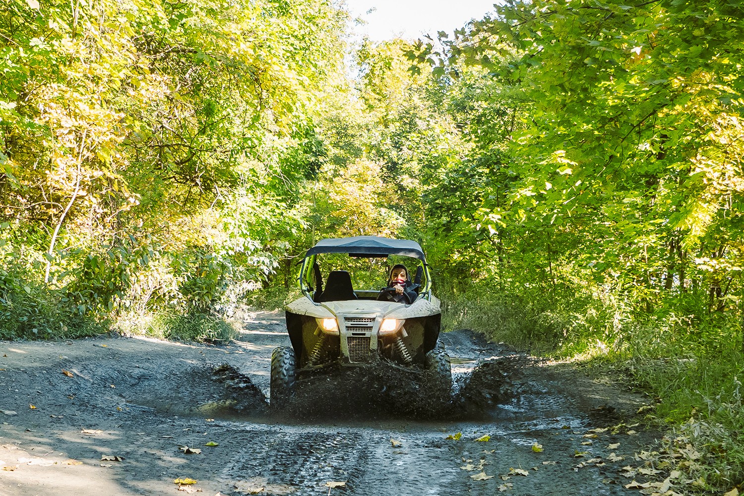 Discover Kentucky s Hidden Wonders: A Local s 3-Day Adventure in Caves, Mountains, and Waterfalls